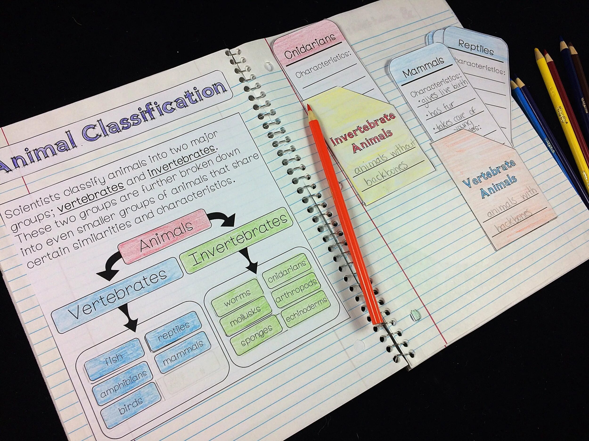 Interactive notebook. Interactive notebooks biology. interactive notebook for kids. interactive copybook irregular мицуки. interactive notebook шаблон 1 стр.