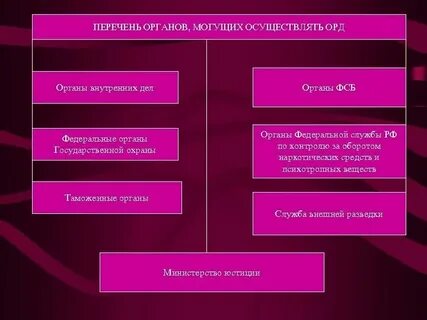 К органам оперативного управления относятся