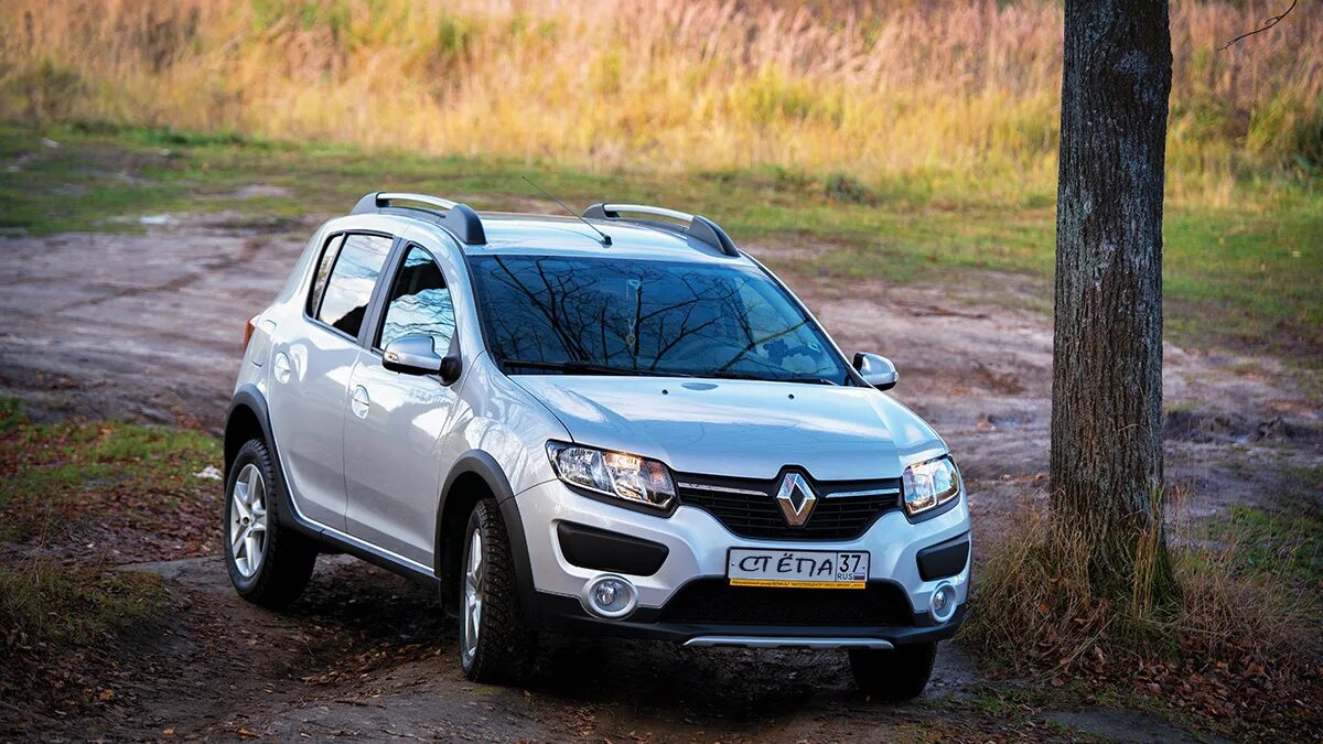 Renault stepway отзывы. Renault Sandero Stepway. Renault Sandero Stepway 2. Сандеро степвей серебристый. Рено Стандера стоп Вей.