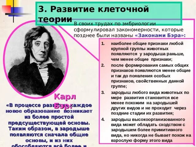 Ученые сформулировавшие клеточную теорию. Этапы развития клеточной теории. основные этапы развития клеточной теории. кто сформулировал клеточную теорию. кем и когда была сформулирована клеточная теория.