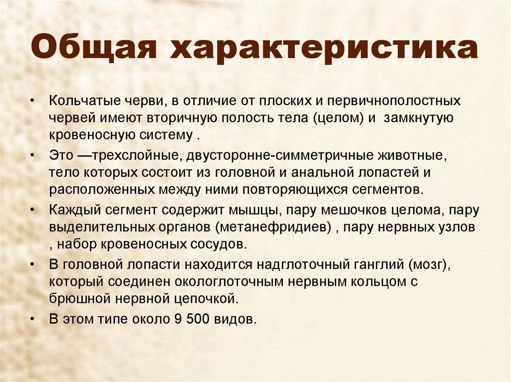 Дайте характеристику типу кольчатые черви. Общая характеристика кольчатых червей. Характеристика типа кольчатые черви. Оющпя арактеристикакольчатых червей. Характеристика типа кольчатых червей.