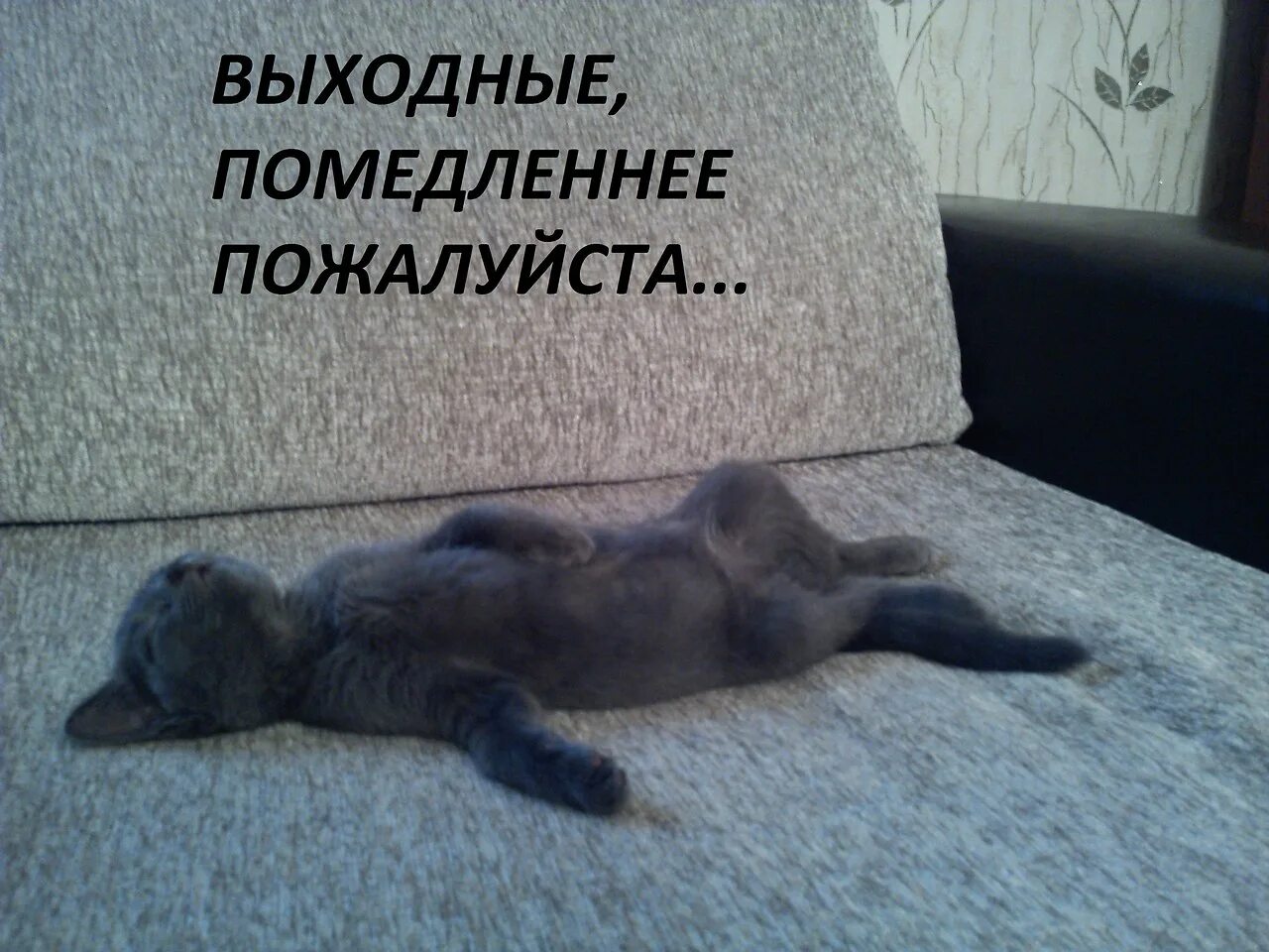 Очередной день закончился