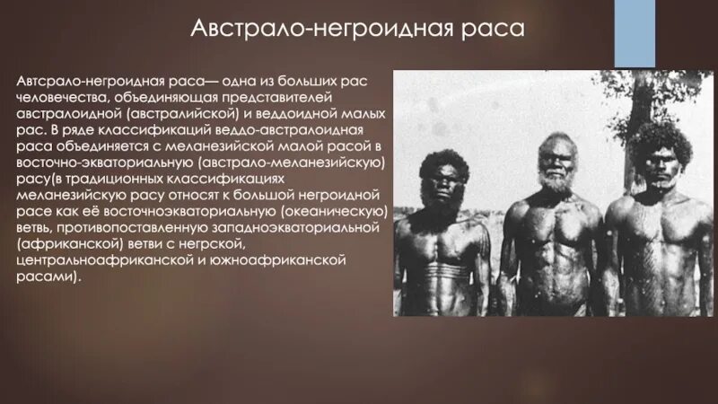 Австрало негроидная. Австрало негроидная раса. Представители негроидной расы. Австрало негроидная раса представители. Страны относящиеся к австралоидной расе