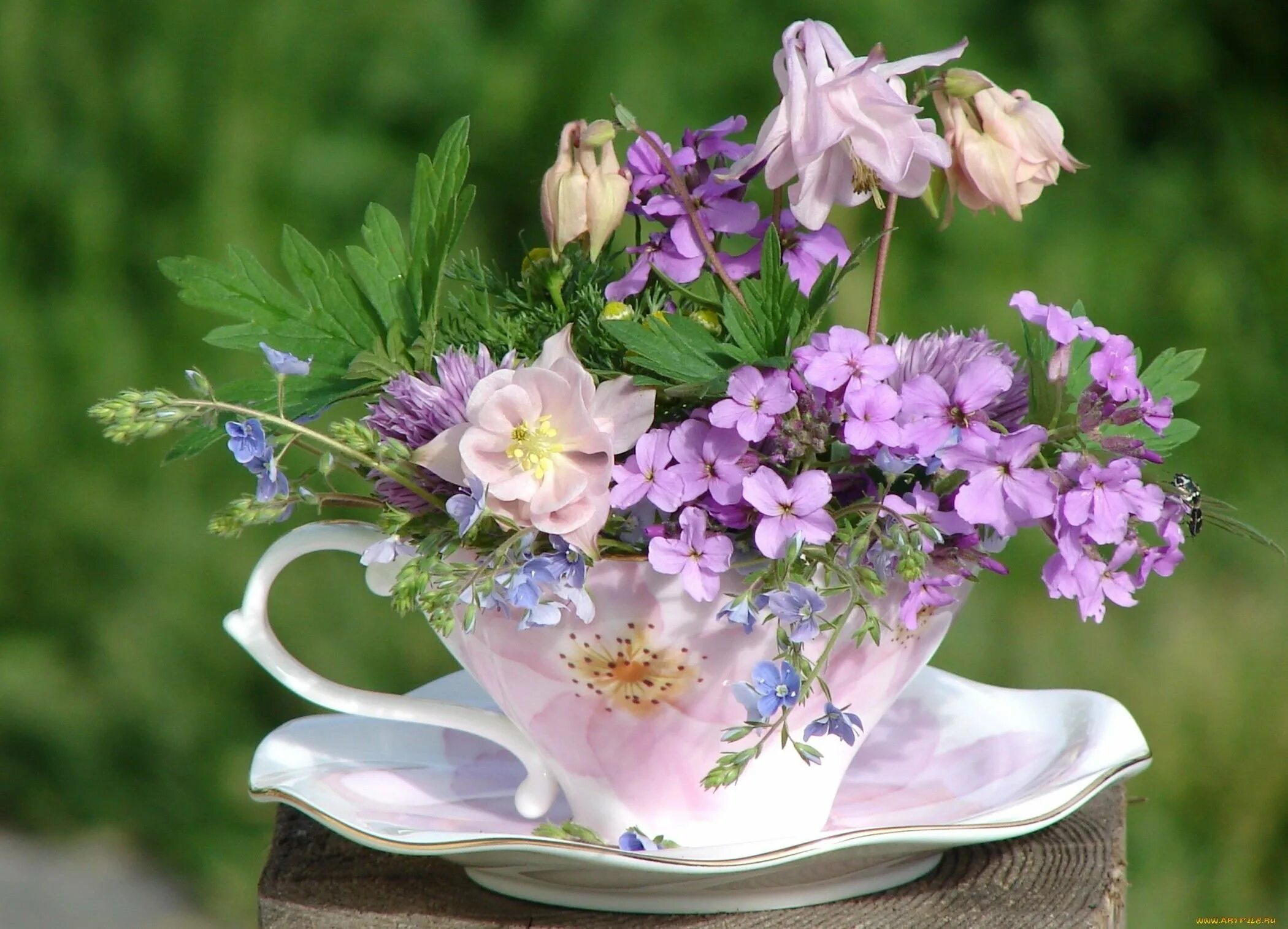 Доброго весеннего утра и чудесного дня картинки. Летние цветы. Нежные весенние цветы. Красивый весенний букет. Душевные цветы.