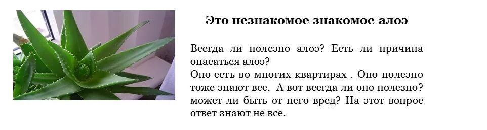 Лист алоэ прикладывать. Алоэ можно есть. Алоэ от ушибов.