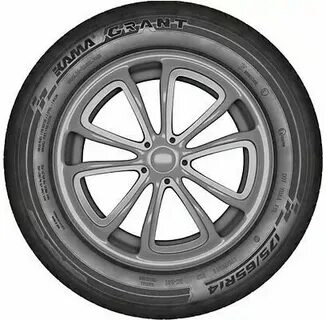 Grant 241