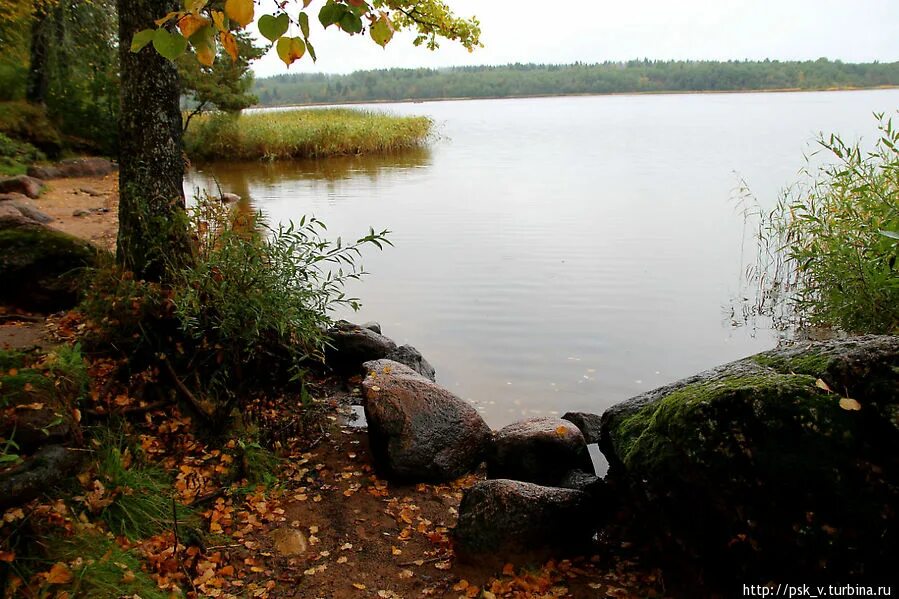Оредеж санкт петербург сегодня. Река оредеж ленинградская область. Поезд оредеж дно. Оредеж санкт петербург сегодня. Станция оредеж.
