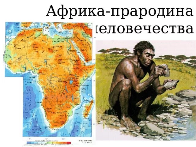 Африка является прародиной современного человека. Африка прародина человечества. прародина человека. прародина первобытных людей. прародина человека на карте.