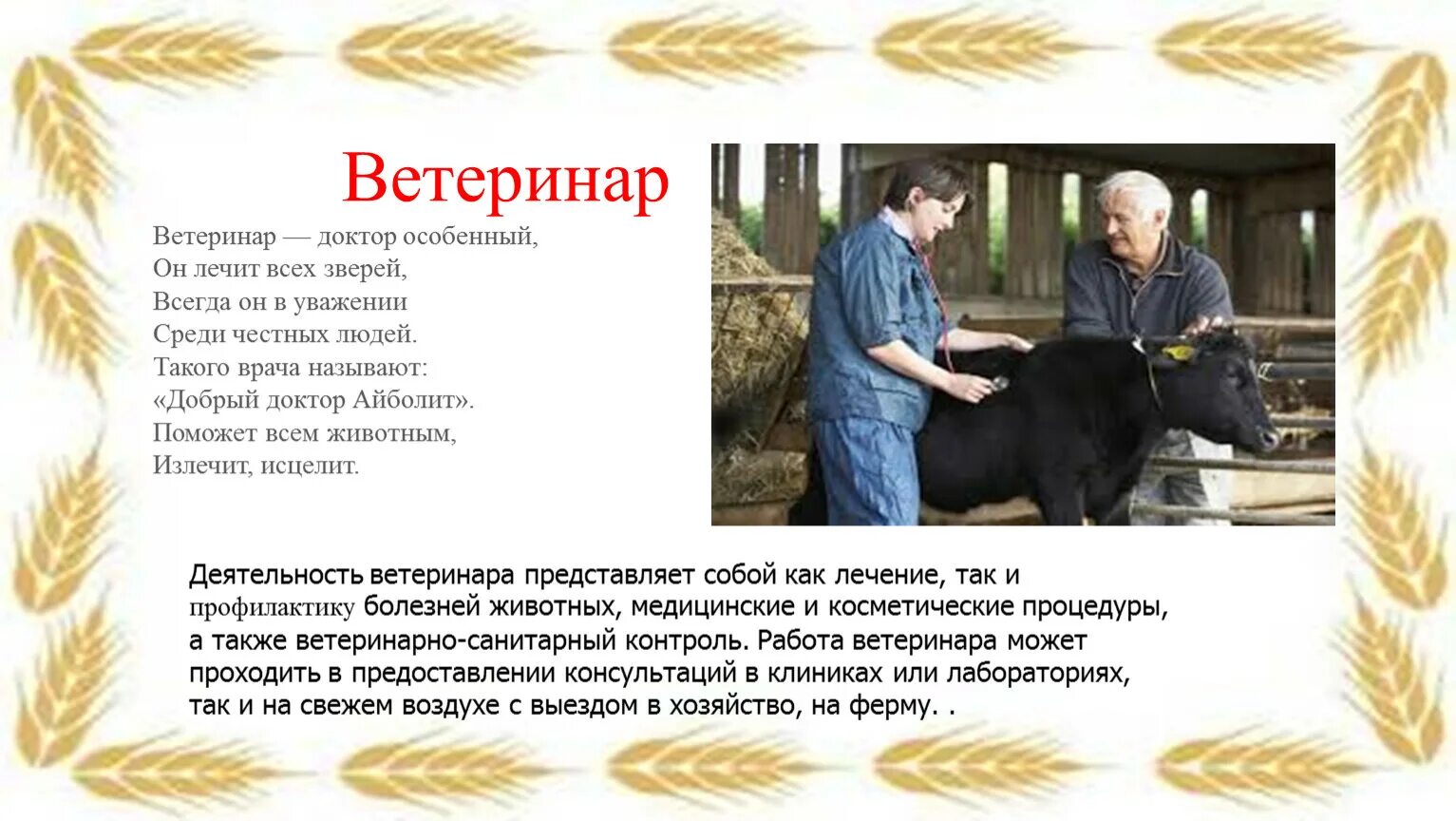 Ветеринар прикол. Презентация профессии ветеринарного врача. Анекдот про врача и ветеринара. Ветеринар прикол. Песня про ветеринара.