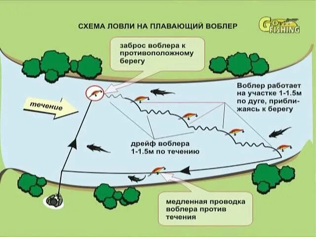 Постановка сетей на реке с течением. Способы ловли рыбы. Способы ловли рыбы на реке. Схема ловли на сеть. Места лова рыбы