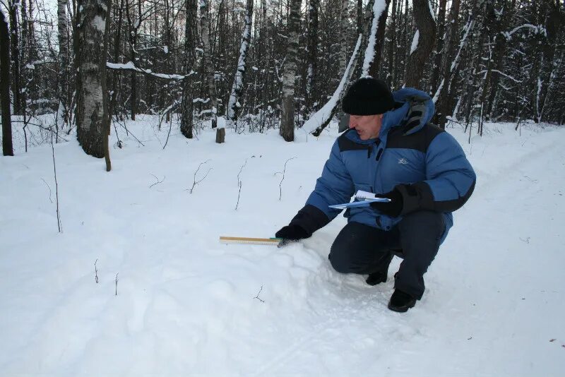 Государственный мониторинг охотничьих ресурсов. Мониторинг охотничьих ресурсов. Учет численности охотничьих животных. Охота в забайкальском крае. Мониторинг охотничьих ресурсов.