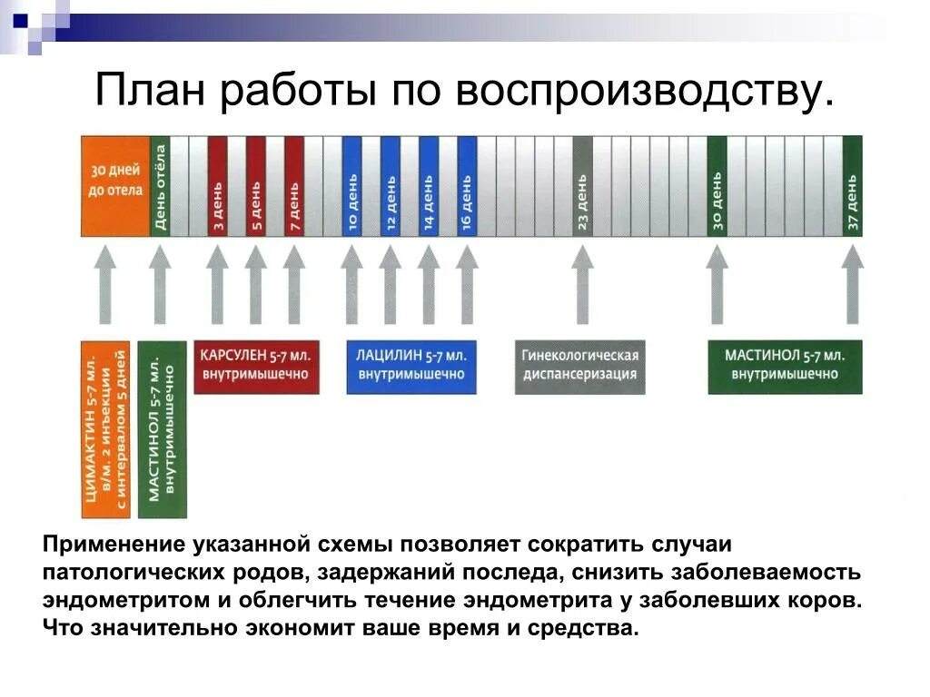 Схема синхронизации для осеменения коров. Схемы синхронизации охоты у коров. Схема синхронизации коров с эстрофаном. Схема лечения эндометрита у коров.