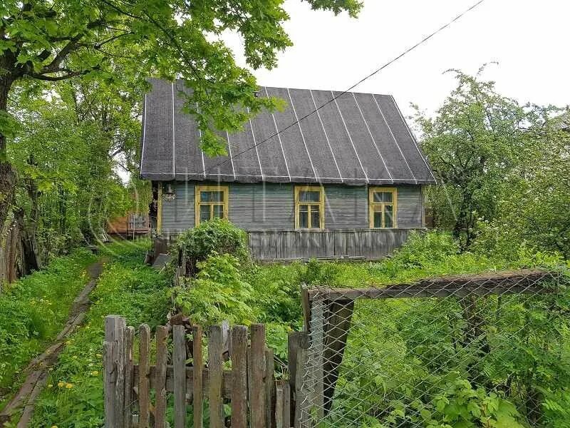 Ломоносовский район п. Мартышкино Ломоносовский район. Ломоносов Мартышкино. П Мартышкино Ленинградская область. Мартышкино дача.