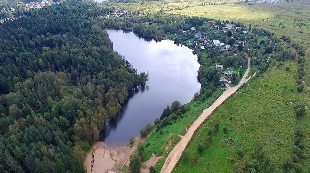 Лодейное озеро ленинградская область. Деревня озерки всеволожск. Озеро в поселке озерки, мурманское шоссе. Озерки тверская область. Озеро озерко лодейное поле.