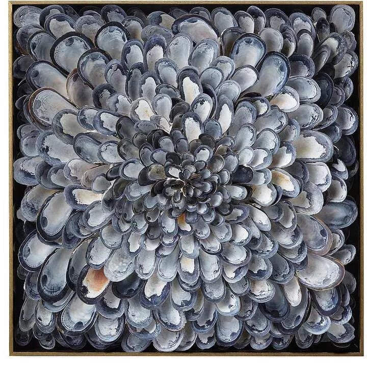 Shell fragment