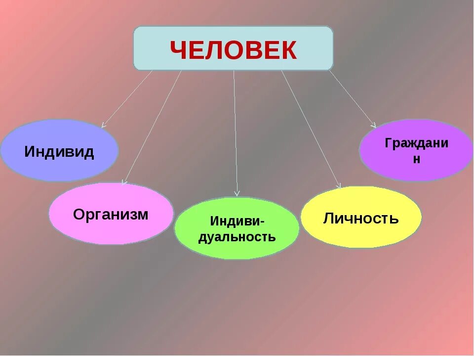 Проект человек и сообщества. Человек личность. Человек индивид личность. Человек индивид организм. Тема личность.