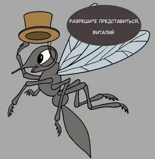 Комарик про
