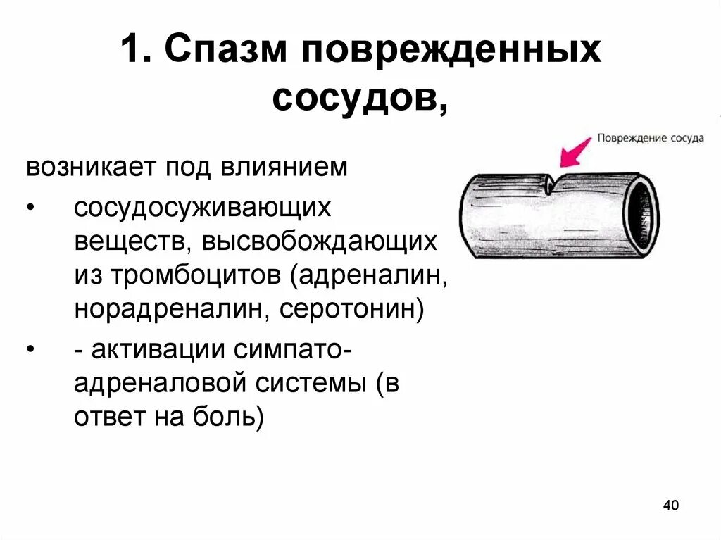 Спазм кровеносных сосудов. Вещества вызывающие спазм сосудов. Спазм артериальных сосудов. Звонкий сосуд