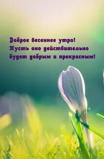 Доброго весеннего утра мудрые мысли
