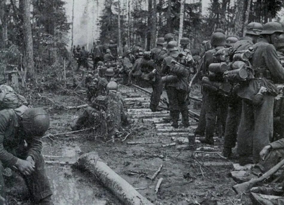 2-я пехотная бригада сс. мясной бор великая отечественная война. волхов 1942 волховский котел. волховский котел. волховский фронт мясной бор раскопки.