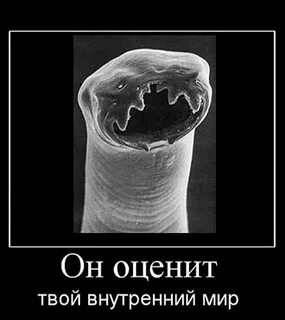 Вплоть плохой