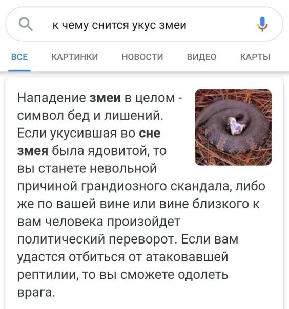 Во сне мне приснилось что меня укусила змея. Укусила змея во сне к чему снится. К чему снится змея и укус. К сему снится УЕУС щмеии.