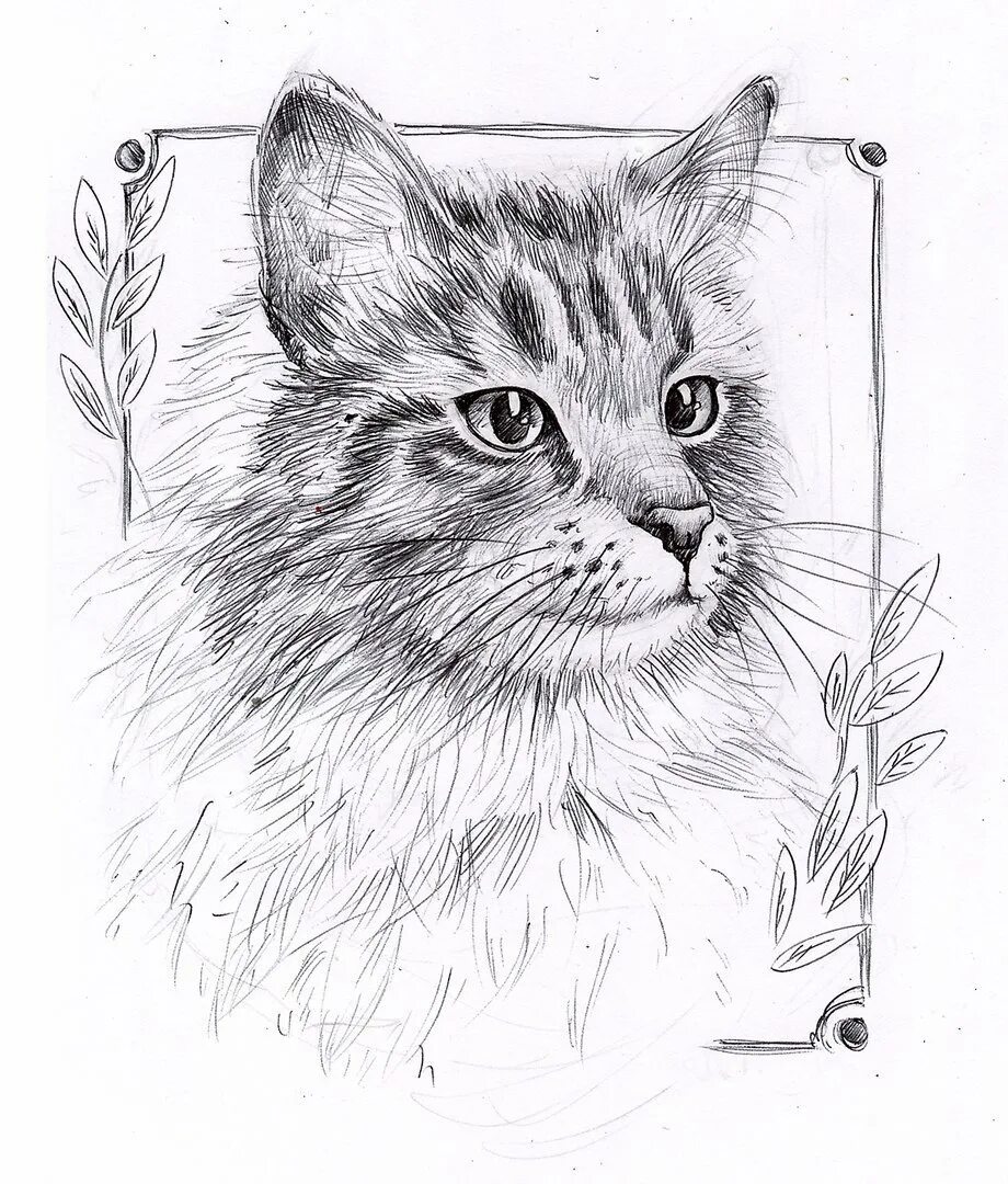 Сложные рисунки котик. Кошка карандашом. Кошка рисунок карандашом. Красивые рисунки кошек карандашом. Котик рисунок карандашом.