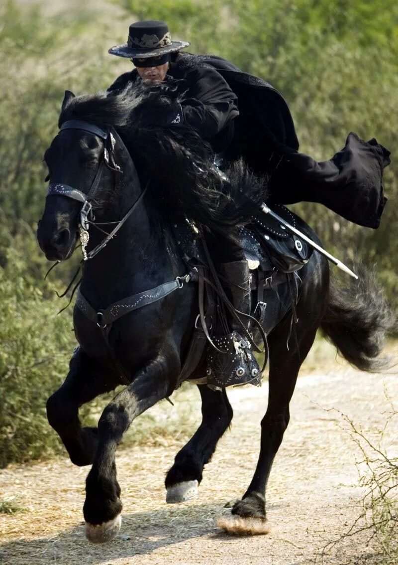Лошадь зорро. Торнадо конь зорро. Зорро. Зорро ковбой. Антонио бандерас зорро на лошади.