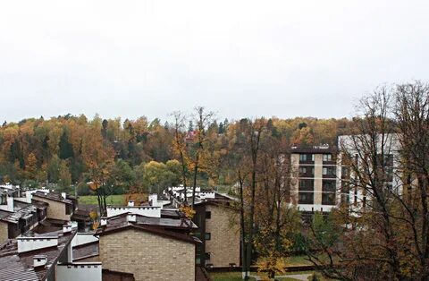 Микрорайон новогорск химки ул заречная