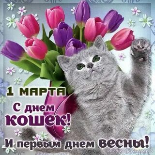 Открытки с первым днем весны с котиками