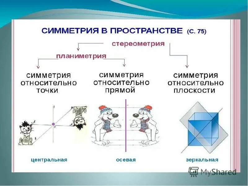 Проект симметрия 6 класс Проект по теме симметрия