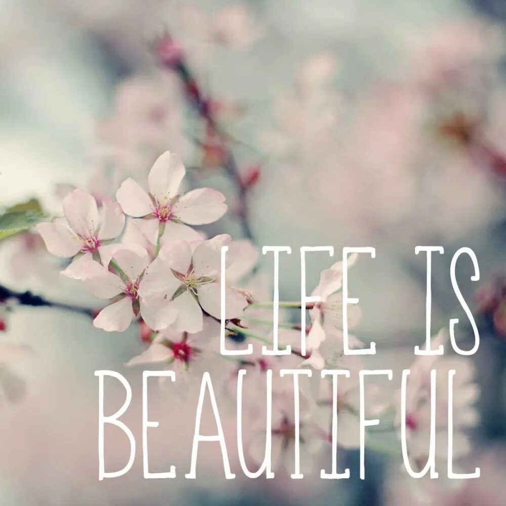 Картинки с надписью life. My life лого. I love my beautiful life. You are so beautiful. My love you forever.