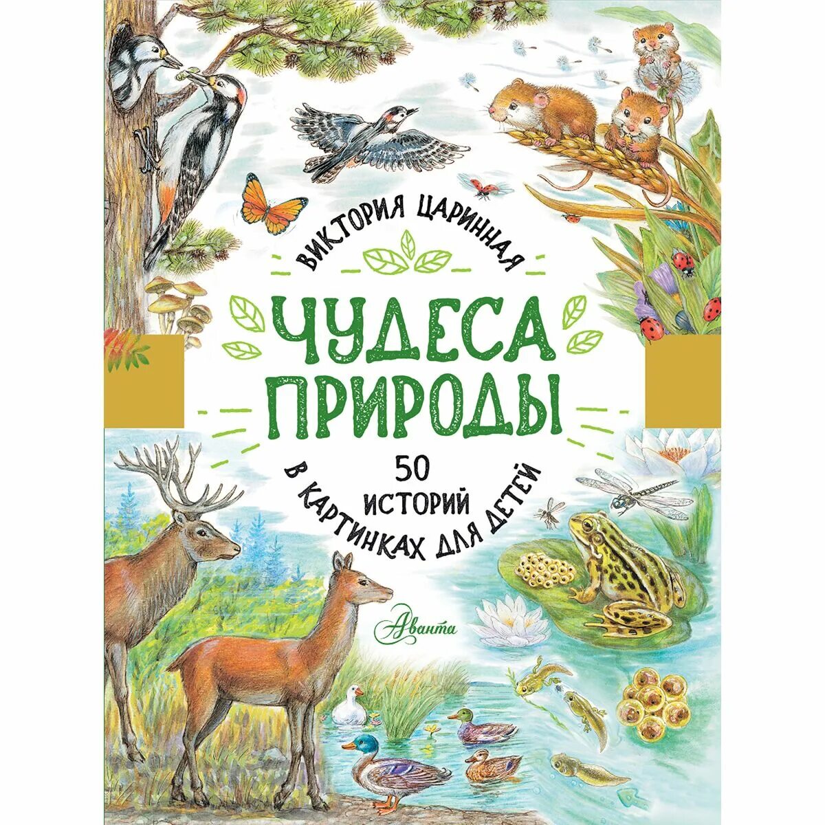 Рассказы о природе картинки. Картинка для обложки детской энциклопедии. Познавательные детские истории.