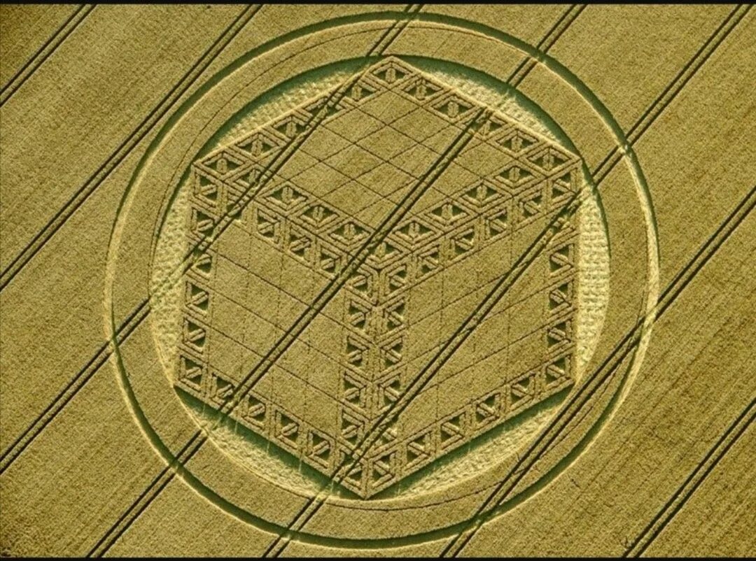 Круги на полях 1960. Уилтшир,,круги на полях. Знаки инопланетян на полях. НЛО круги на полях расшифровка. Тайны 1 круг
