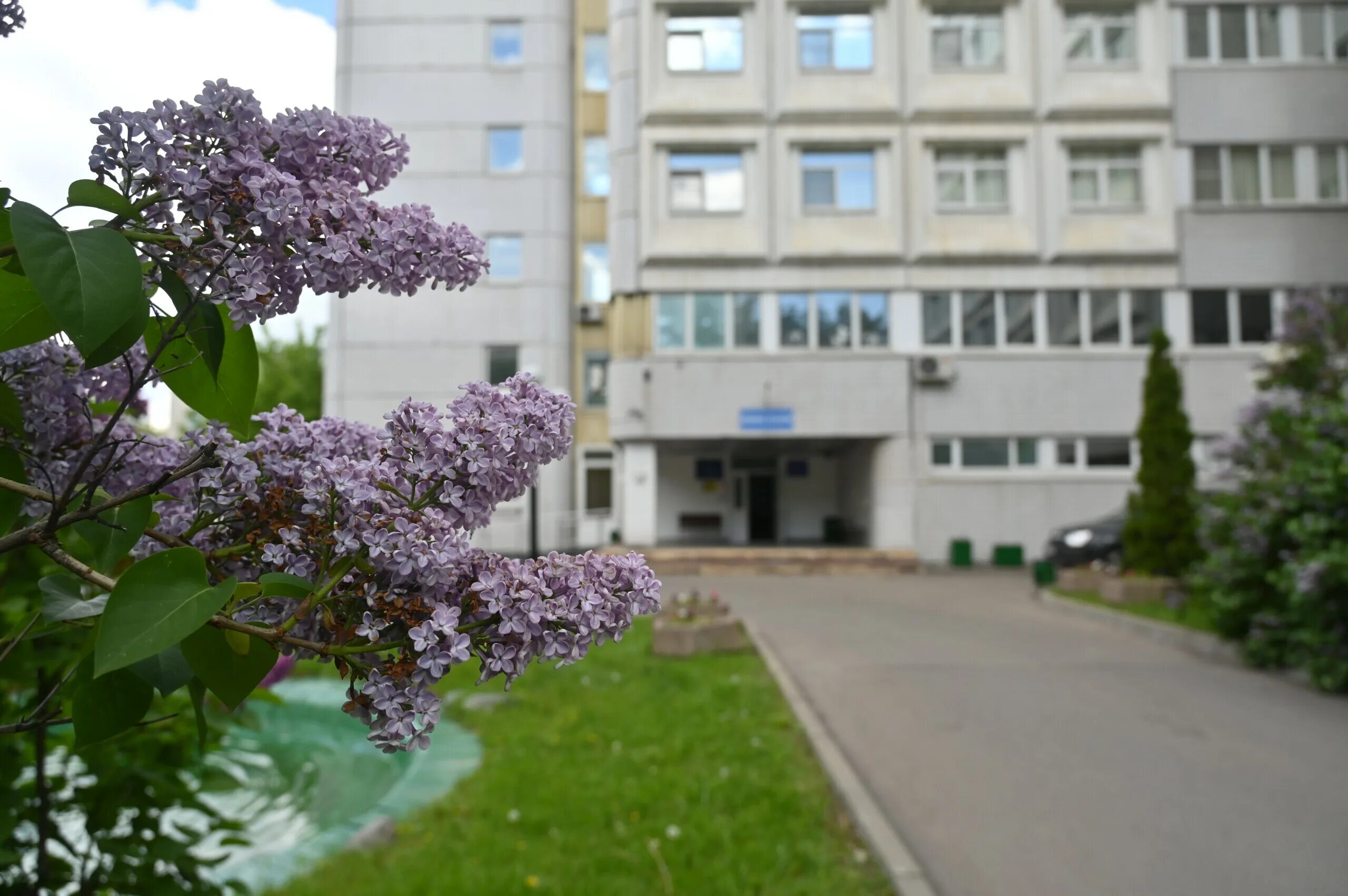 Гкб жк вересаева. Вересаева больница роддом. Роддом Вересаева 800 летия Москвы. Морс Вересаева. Больницы роддомы в Москве.