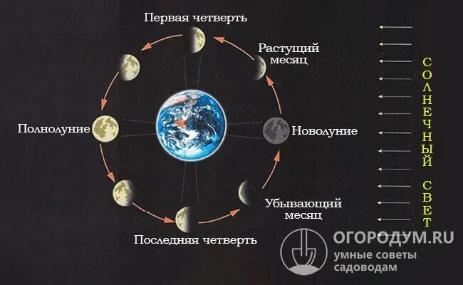 Фаза Луны март 2022. Лунные фазы март 2022. Фазы Луны в марте 2022 года. Луна в марте 2022 фазы Луны. Фаза луны на март месяц 2024