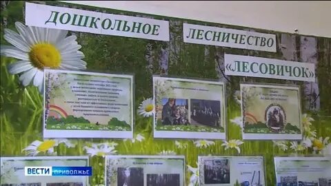 Дошкольное лесничество