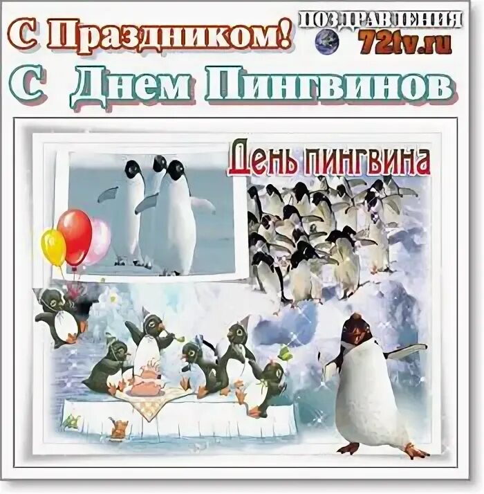 25 апреля 2017. День пингвина. Международный день пингвинов. 25 Апреля праздник Всемирный день пингвинов. Открытка с Всемирным днем пингвина.