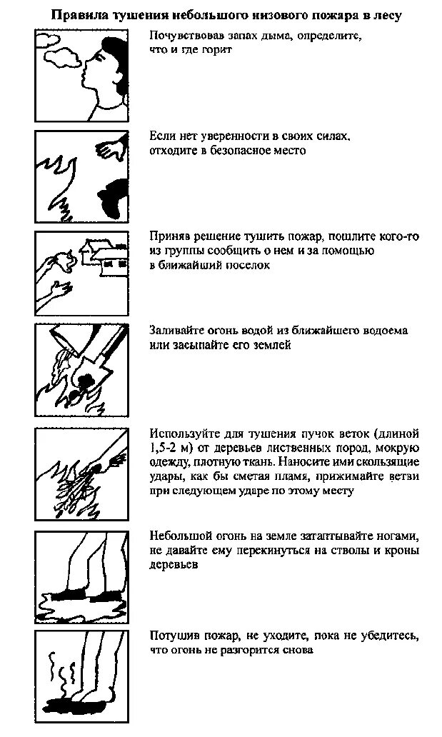Правила поведения при лесном пожаре. Действия при низовом пожаре. Памятка поведения при лесном пожаре. Лесные пожары правила поведения. Алгоритм поведения при лесном пожаре.