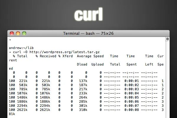 Curl download https. Curl на Mac os. Os x Terminal.