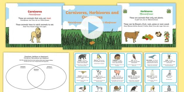 Carnivore перевод. Herbivores транскрипция. What are Herbivores Carnivores and Omnivores read and find out. Herbivore Carnivore Omnivore.