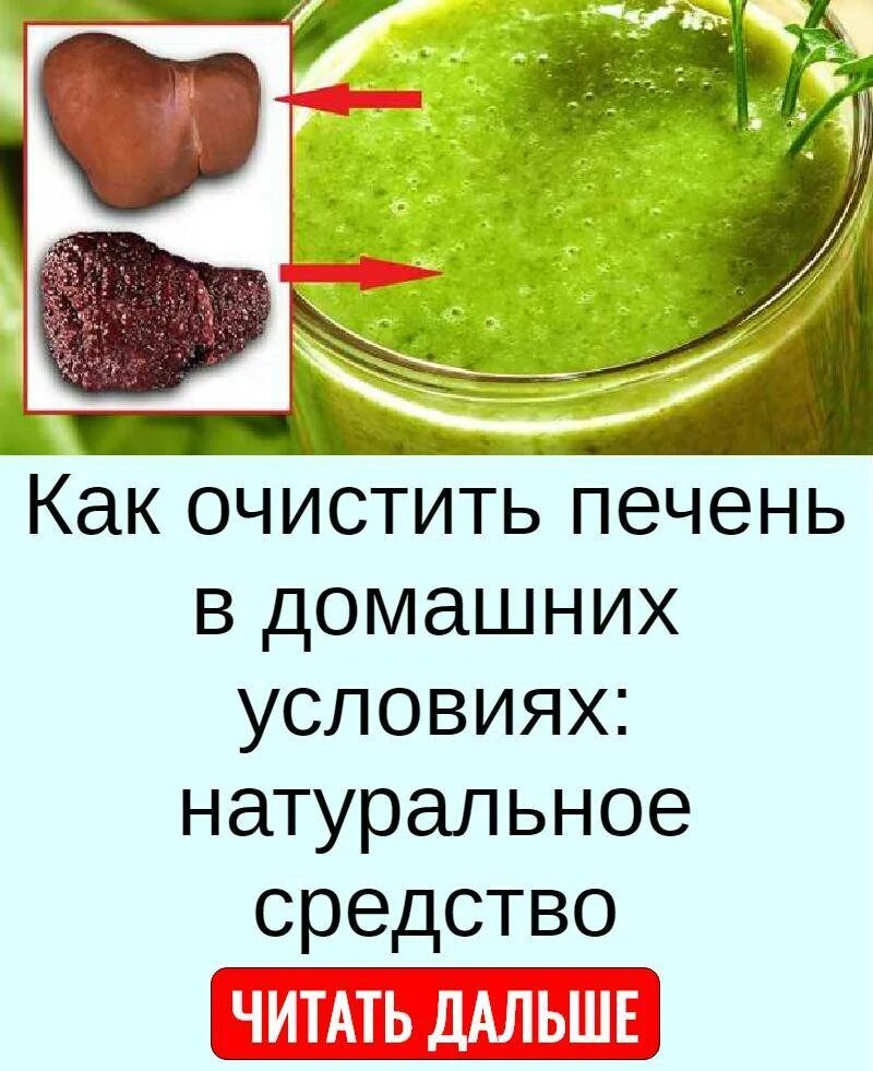 Очищающие и восстанавливающие печень. Очистить печень. Чистка печени в домашних условиях.