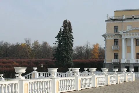 Работа в усадьбе