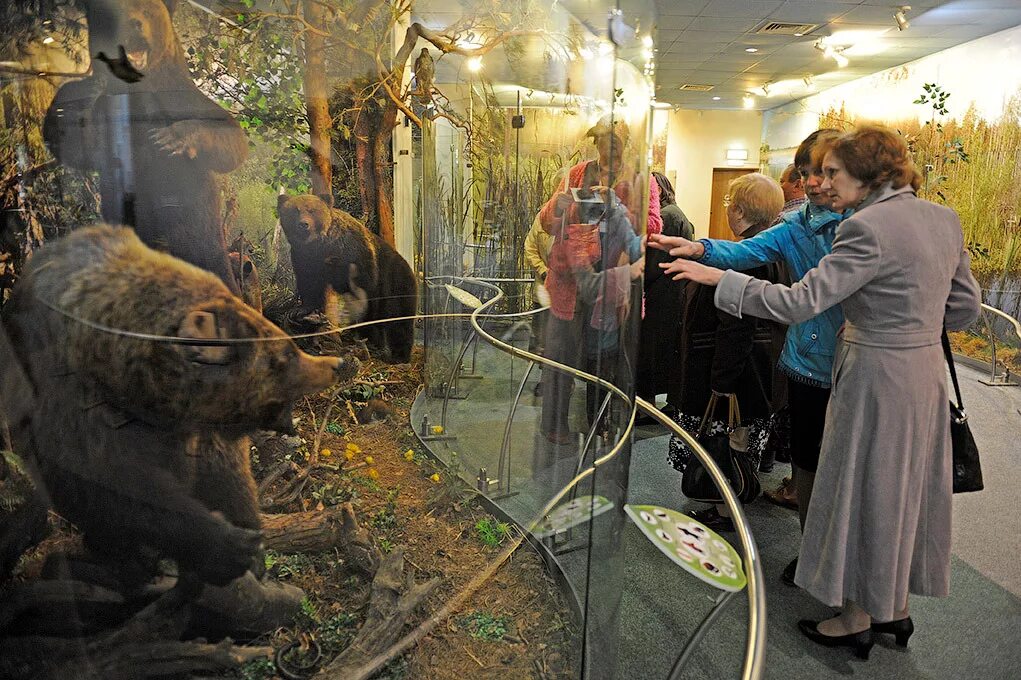 Музей науки и человека эврика. Детский музейный центр суздаль. Музеи владимира для детей. Экспонаты в музей в городе суздаль. Пойти погулять с детьми в музее.