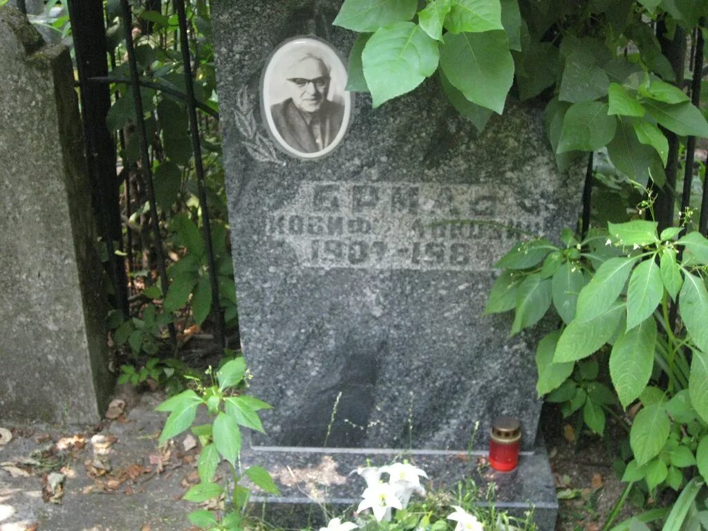 Иосиф львович. Повицкий иосиф львович. кантерман иосиф львович. заика иосиф львович. сондак иосиф львович.