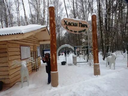 Парк сокольники собаки