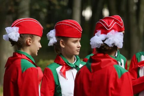 Помощник беларусь