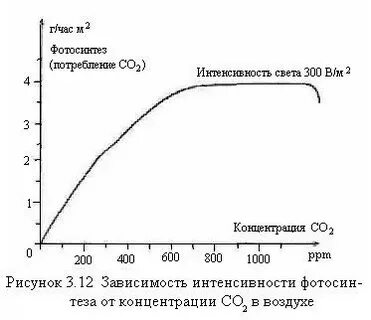 Зависимость концентрации углекислого газа от времени