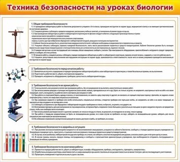 Что необходимо соблюдать на уроке