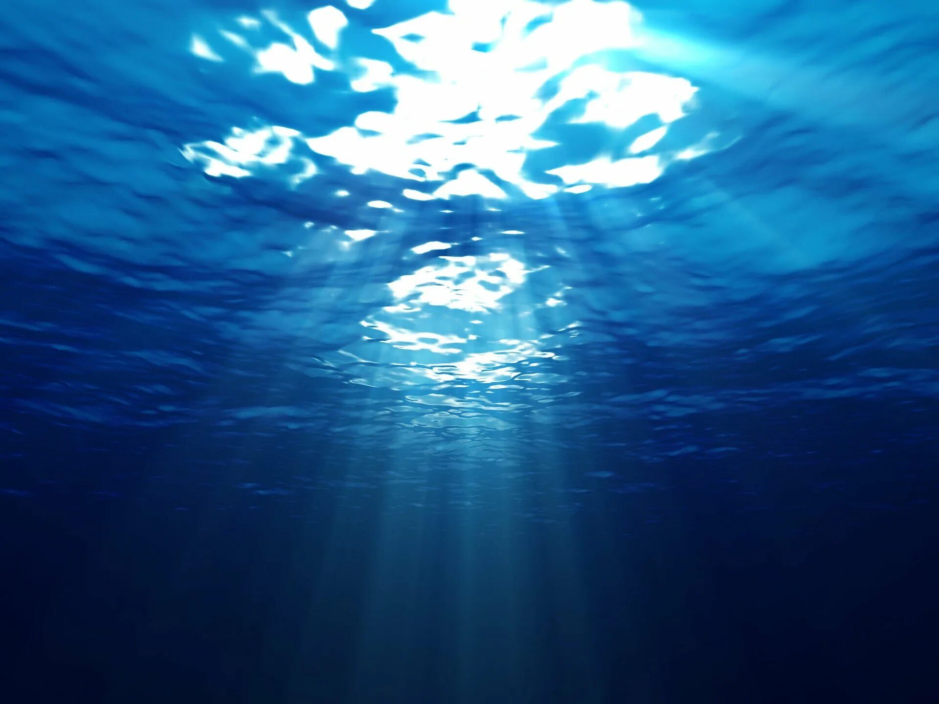 I live in the sea